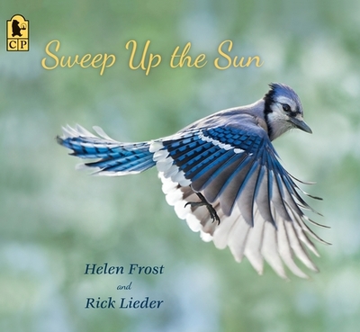 Sweep Up the Sun - Frost, Helen