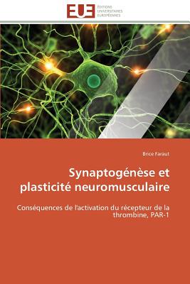 Synaptog?n?se Et Plasticit? Neuromusculaire: Cons?quences De L'Activation Du R?cepteur De La Thrombine, Par-1 (Omn. Univ. Europ. ) (French Edition) - Faraut, Brice