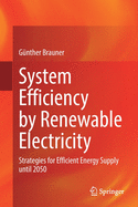 System Efficiency by Renewable Electricity: Strategies for Efficient Energy Supply Until 2050