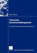 Trkisches Gewinnermittlungsrecht: Eine Bilanzrechtstheoretische Wrdigung