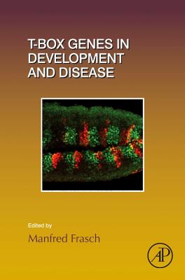 T-box Genes in Development and Disease - Frasch, Manfred (Volume editor)