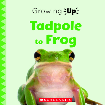 Tadpole to Frog (Growing Up) - Maloney, Brenna