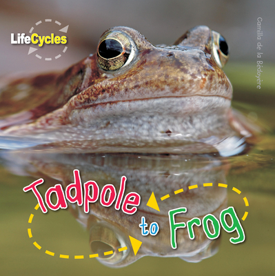 Tadpole to Frog - De La Bedoyere, Camilla