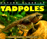 Tadpoles - Pascoe, Elaine