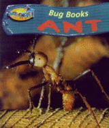 Take Off: Bug Books Ant Paperback