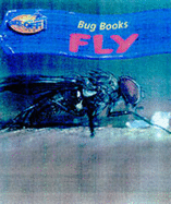 Take Off: Bug Books Fly Paperback
