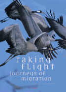 Taking Flight - Journeys