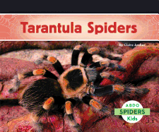 Tarantula Spiders