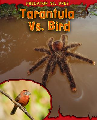 Tarantula vs. Bird - Meinking, Mary