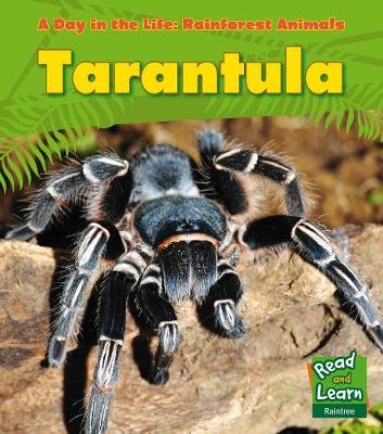 Tarantula - Ganeri, Anita