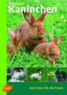 Taschenatlas Kaninchen