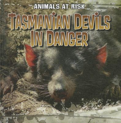 Tasmanian Devils in Danger - Portman, Michael