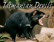 Tasmanian Devils