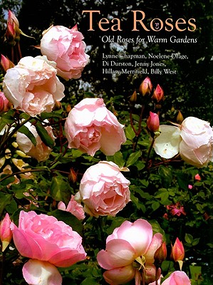 Tea Roses: Old Roses for Warm Gardens - Chapman, Lynne, and Drage, Noelene, and Durston, Di