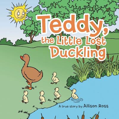 Teddy, the Little Lost Duckling - Ross, Allison