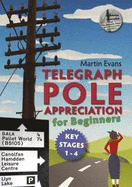 TELEGRAPH POLE APPRECIATION FOR BEGINNERS: Key Stages 1 - 4