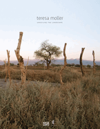Teresa Moller and Associates: Unveiling the Landscape