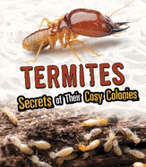Termites: Secrets of Their Cozy Colonies