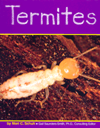 Termites