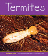 Termites