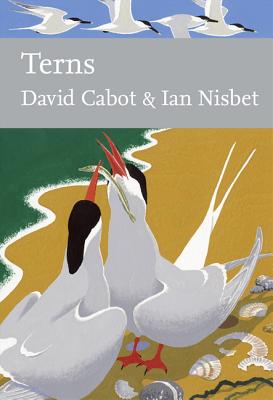 Terns - Cabot, David, and Nisbet, Ian