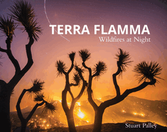 Terra Flamma: Wildfires at Night