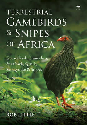 Terrestrial gamebirds & snipes of Africa: Guineafowls, Francolins, Spurfowls, Quails, Sangrouse & Snipes - Little, Rob