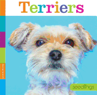 Terriers