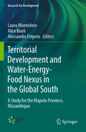 Territorial Development and Water-Energy-Food Nexus in the Global South: A Study for the Maputo Province, Mozambique