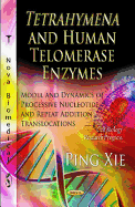 Tetrahymena and Human Telomerase Enzymes: Model and Dynamics of Processive Nucleotide and Repeat Addition Translocations. by Ping XIE