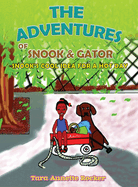 The Adventure of Snook & Gator: Snook's Cool Idea for a Hot Day