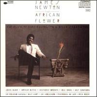 The African Flower - James Newton