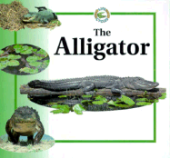 The Alligator