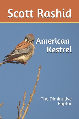 The American Kestrel: The Diminutive Raptor - Rashid, Scott D