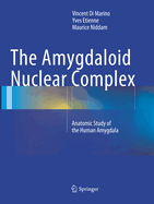 The Amygdaloid Nuclear Complex: Anatomic Study of the Human Amygdala