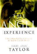 The Angel Experience