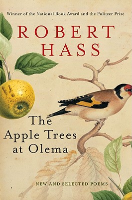 The Apple Trees at Olema: A Novel of Suspense - Hass, Robert