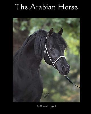 The Arabian Horse - Haggard, Doreen