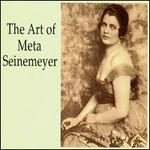 The Art of Meta Seinemeyer
