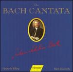 The Bach Cantata, Vol. 28 - Adalbert Kraus (tenor); Aldo Baldin (tenor); Arleen Augr (soprano); Helen Watts (alto); Julia Hamari (alto);...