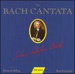 The Bach Cantata, Vol. 38 - Aldo Baldin (tenor); Alyce Rogers (alto); Arleen Augér (soprano); Carolyn Watkinson (alto); Hanns-Friedrich Kunz (bass);...