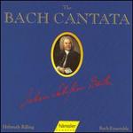 The Bach Cantata, Vol. 48 - Adalbert Kraus (tenor); Arleen Augr (soprano); Frankfurter Kantorei; Gabriele Schreckenbach (alto); Niklaus Tuller (bass);...