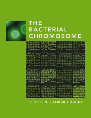 The Bacterial Chromosome - Higgins, N Patrick (Editor)