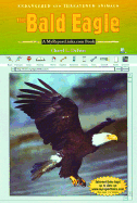 The Bald Eagle: A Myreportlinks.com Book
