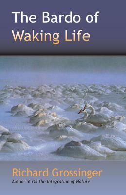 The Bardo of Waking Life - Grossinger, Richard, and Stark, Mary (Preface by), and Brezsny, Rob (Foreword by)
