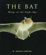 The Bat Wings in the Night Sky
