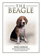 The Beagle