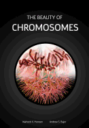 The Beauty of Chromosomes