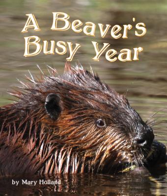 The Beavers' Busy Year - Holland, Mary
