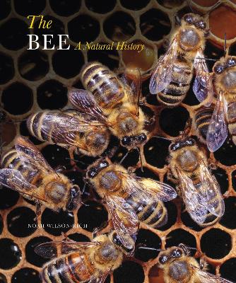 The Bee: A Natural History - Wilson-Rich, Noah, and Carreck, Norman